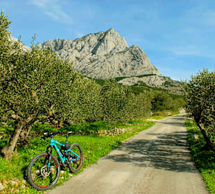 Radfahren Tucepi