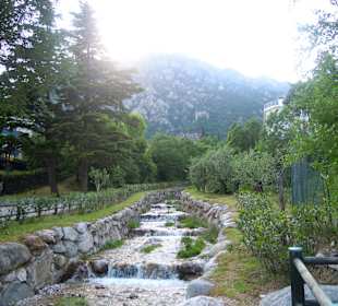 Bergzufluß am Kiesstrand