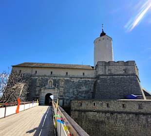 Burg Forchtenstein