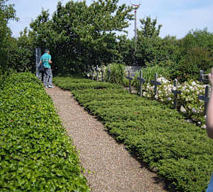 Friedhof der Namenlosen