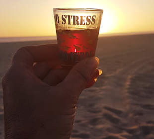 Sundowner