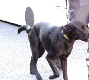 Wasser und Rettungstaffel Fürth