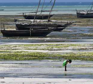 Nungwi, nähe Mnarani Beach Cottages