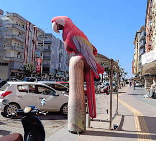 Stadtrundgang Side - Titreyengöl