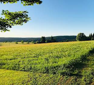 Wandern Rechenberg-Bienenmühle