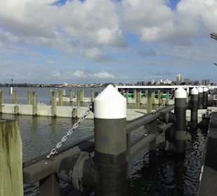 Swan River
