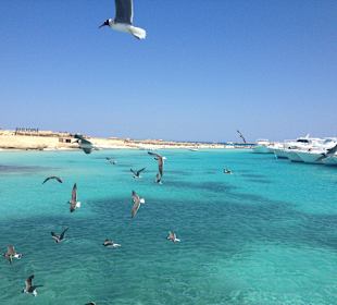 Boat tirp from the Hotel pier 