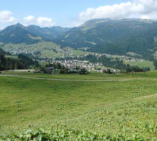 Wanderung mit Charly am Söllereck August 2015