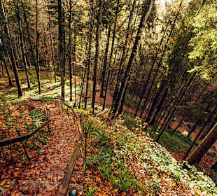 Wandern Oberstaufen