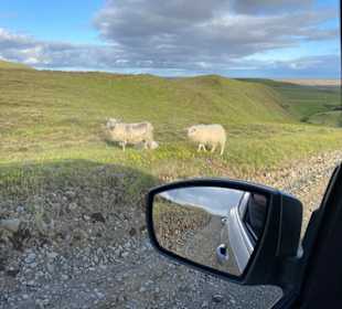 Hochland um den Canyon