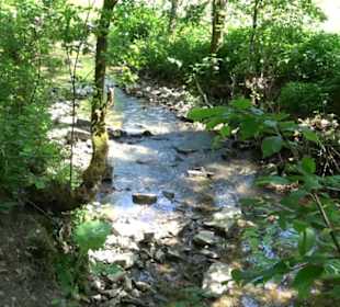 Wanderweg Sieben-Täler-Runde 