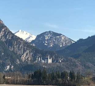 Schloss Neuschwanstein 