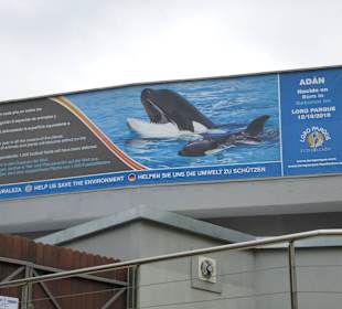 Zu den Orcas auch nur mit Führung