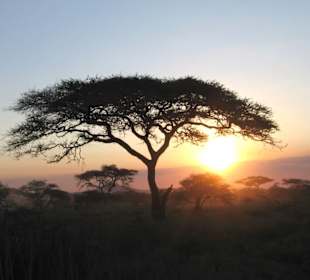 Sunset at Serengeti park
