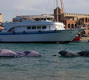 Schwesterschiff "Turtle"