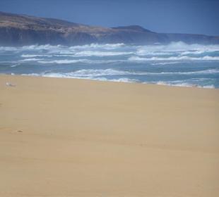 Impressionen von der Playa de Cofete
