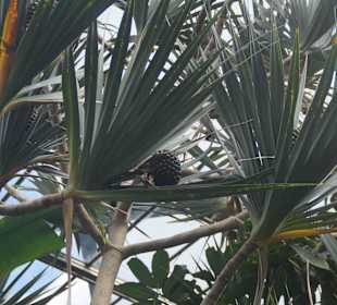 Anlage Planten un Blomen