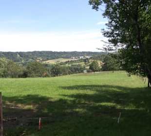 Premiumspazierweg Früchtetrauf-Leisawegle