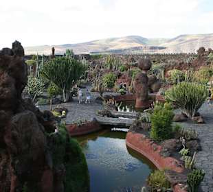 Jardin de Cactus / Kaktusgarten Guatiza