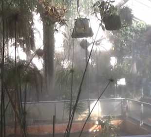 Real Jardín Botánico de Madrid