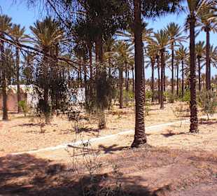 Ausflug Insel Djerba