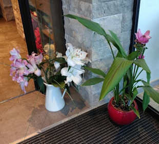 Außendeko / Eingang