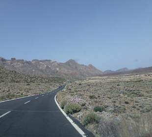 Nationalpark --> Teide