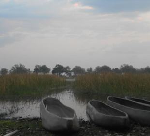 Mokoro Tour im Okavango Delta