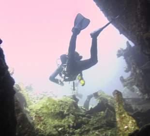 Aus dem Laderaum der Carnatic