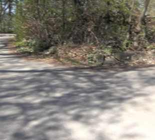 Wanderung Florianrunde