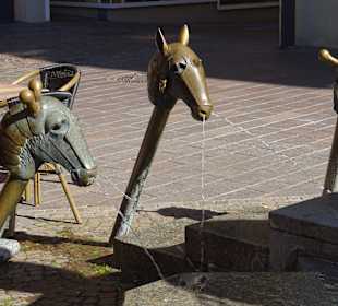 Waldshut Altstadt