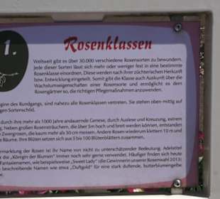 Rosengarten 