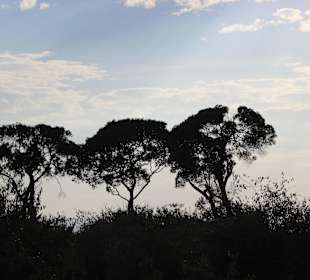 Einfach nur schön..