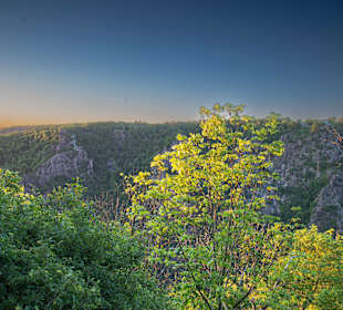 Wandern Thale