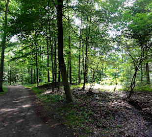 Impressionen aus dem Stadtwald Verden