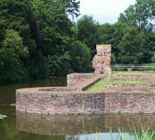 De ruine van Slot op den Hoef