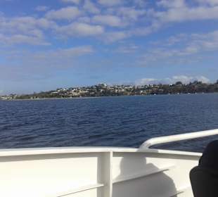 Swan River