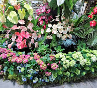 Impressionen vom Blumenfestival in Funchal