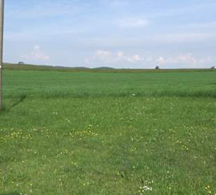 Klimaweg Sonnenalb
