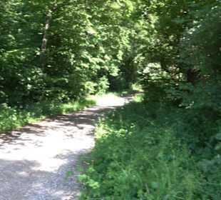 Eduard Lucas Musterobstgarten Mähringen