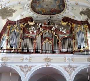 Die Orgel der Kirche St. Mang