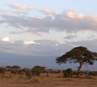 Tsavo Ost und West Safari