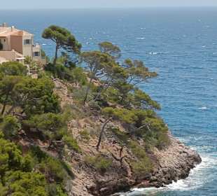 Wanderung Puig de Son Jordi