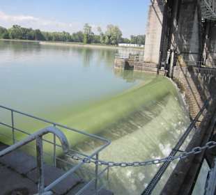 Stauwehr Kembs