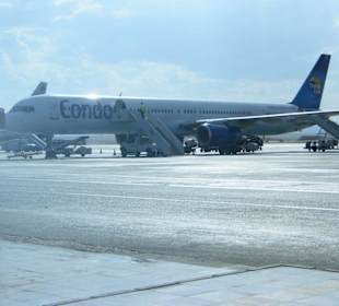 Durch die Scheibe...