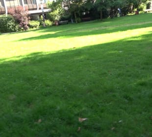 Stadtgarten Heidelberg