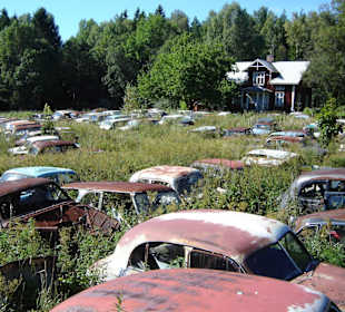 Autofriedhof am Foxen