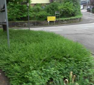 Dorfplatz am Rathaus