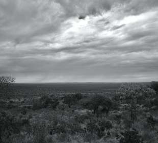 Landscape Tsavo West