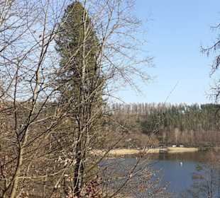 Gelterswoog in Kaiserslautern